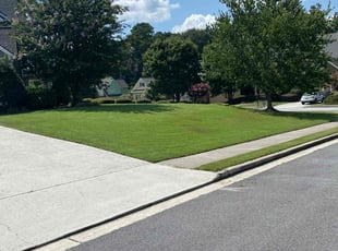 Woodrow J.'s Lawn Service service result