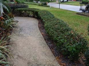 Landscaping by Mike Diaz for Katie S. in Orlando, FL