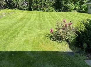 Pam K.'s Lawn Mowing service result