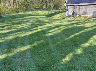 PETRINA T.'s Lawn Mowing service result
