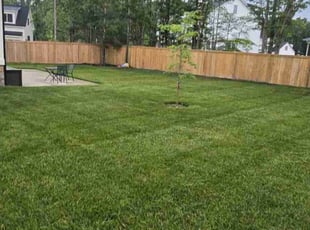 Satyam A.'s Lawn Service service result