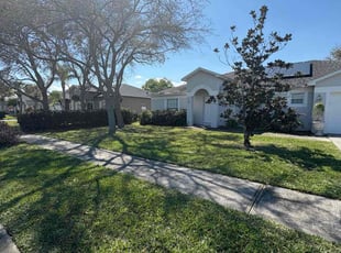 Christiana C.'s Lawn Care service result