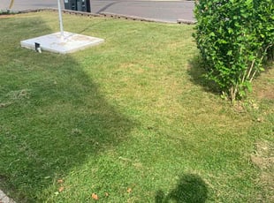 Jon E.'s Grass Cutting service result
