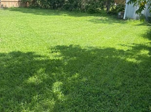 Chelsea S.'s Lawn Care service result
