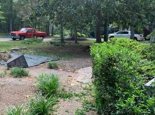 Bush Trimming by Richard Tucker for Cassidy R. in Midlothian, VA