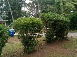Bush Trimming by Lionel Lee for Mikayla S. in Decatur, GA