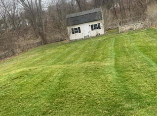 Sam S.'s Lawn Mowing service result