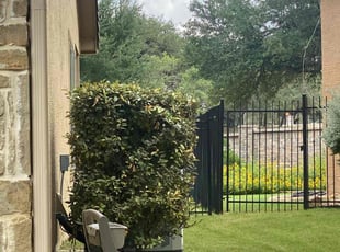 Bush Trimming by Bradley Matthiesen for Toby B. in Fair Oaks Ranch, TX
