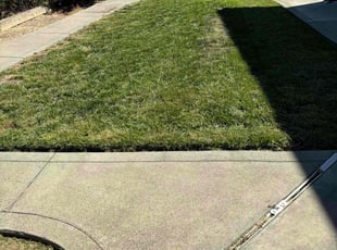 RyAnn P.'s Lawn Service service result