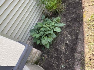 Weeding by Leonard Smithers for Christopher V. in Columbus, OH