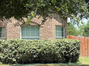 Bush Trimming by Brandon Barnum for Michael C. in Sanger, TX