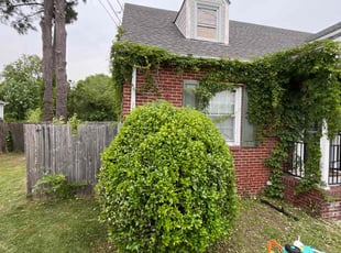 Bush Trimming by Austin Hill for Alyssa B. in Hampton, VA