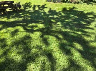 Edward T.'s Lawn Service service result
