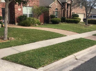 Clarence W.'s Grass Cutting service result