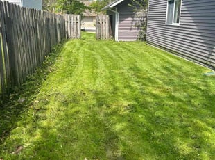 Thomas B.'s Lawn Service service result