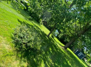 Jack B.'s Lawn Mowing Service service result