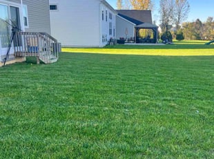 Tobin S.'s Lawn Mowing Service service result