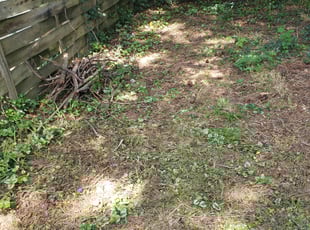 Cleanups by Larry Sanders for Jeanette B. in Portsmouth, VA