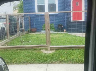 Kelly F.'s Lawn Service service result