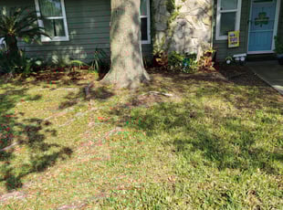 Leaf Removal by Brian Thomas for Beth S. in Jacksonville, FL