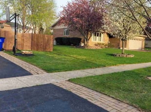 Malek M.'s Lawn Care service result