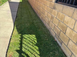 Lara C.'s Lawn Service service result