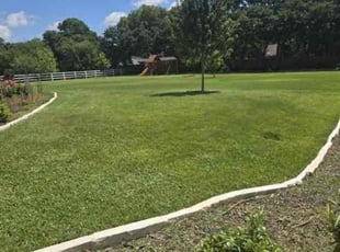 Kelsie H.'s Lawn Mowing service result
