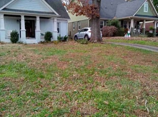Leaf Removal by Guadalupe De la cruz for Stephen K. in Charlotte, NC