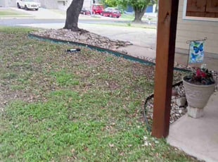 Weeding by Elena Fortress for Donnielle R. in Austin, TX
