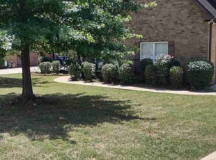 Bush Trimming by Javier Gaddis for Cassandra K. in Alabaster, AL