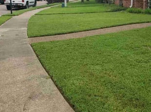 Victor V.'s Lawn Mowing service result
