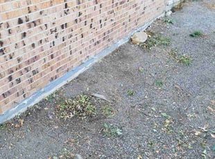Bush Trimming by Kevin Mills for Elizabeth R. in Arvada, CO