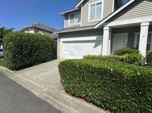 Bush Trimming by Kurian Jones-Fryberg for Robert B. in Snohomish, WA