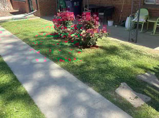 Karen T.'s Lawn Mowing Service service result