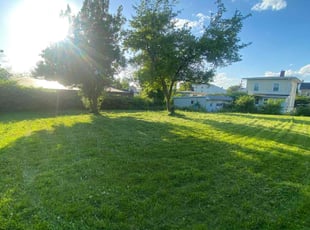 Walter W.'s Grass Cutting service result