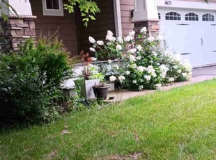 Alex J.'s Lawn Mowing service result