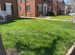 Uniti H.'s Lawn Care service result