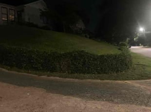 Bush Trimming by FNU/ "Chad" Shadow/ "Gillam" for Connor B. in Atlanta, GA