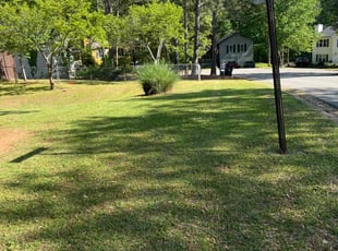 Dhana C.'s Lawn Service service result
