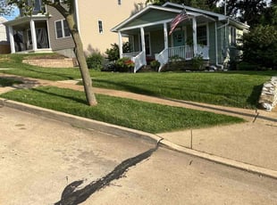 Victoria H.'s Yard Cutting service result