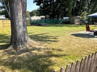 Anthony C.'s Lawn Mowing service result