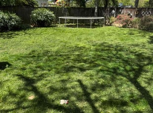 Lois G.'s Lawn Maintenance service result