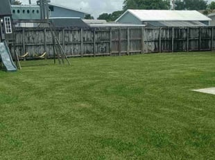 Sydney S.'s Lawn Care service result