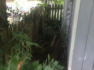 Cleanups by Brandon McDonald for Marah S. in Springfield, MO