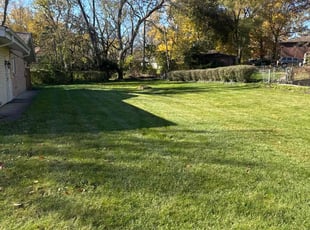 Leaf Removal by Mike Brooks for Kimberly A. in Hazel Crest, IL