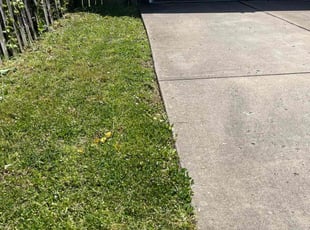 Harold F.'s Lawn Care service result