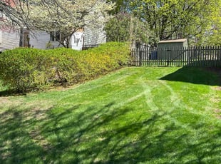 Joel W.'s Lawn Care service result
