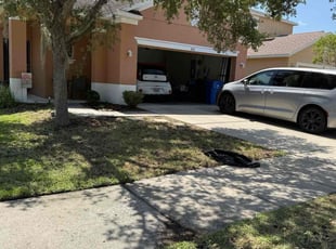 Bush Trimming by William Chavers for Corey F. in Ruskin, FL
