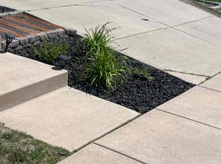 Weeding by Brennen Spratte for Brandon P. in Colorado Springs, CO