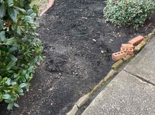 Weeding by Serafin Almanza for Victor W. in Tomball, TX